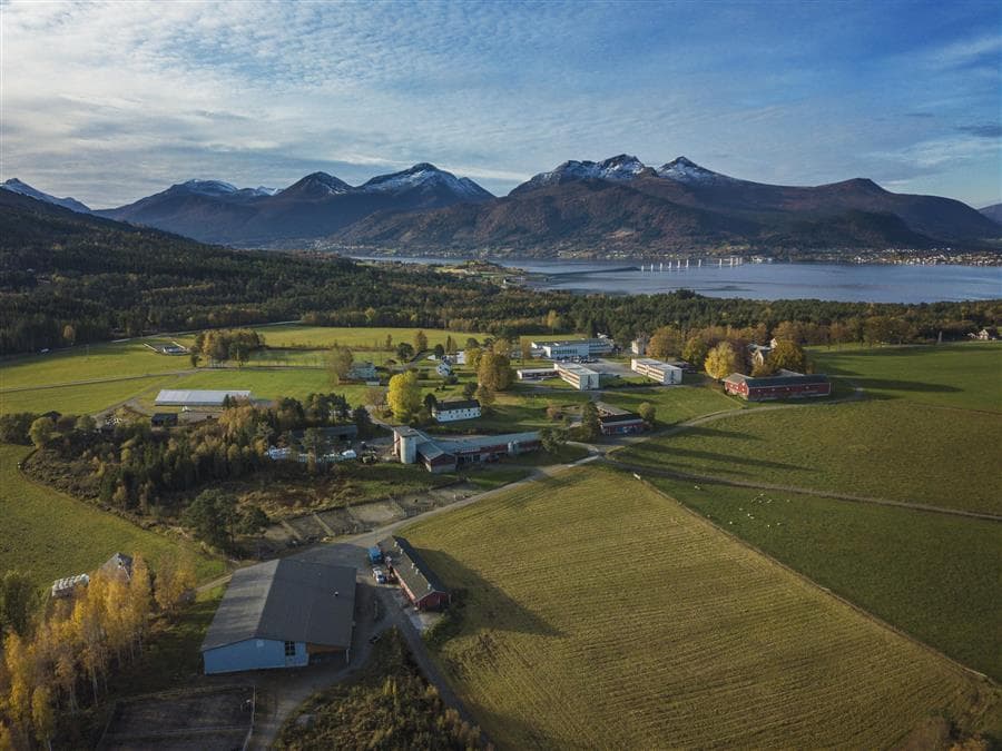 Dronefoto av Gjermundnes videregående skole med flere campusbygg, jordbruksarealer, fjord og fjell