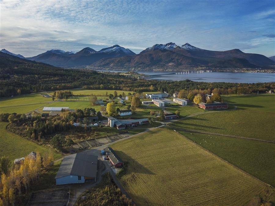 Dronefoto av Gjermundnes videregående skole med flere campusbygg, jordbruksarealer, fjord og fjell